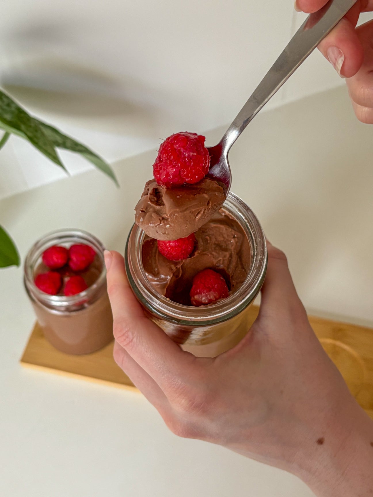 Vegan healthy chocolate moose