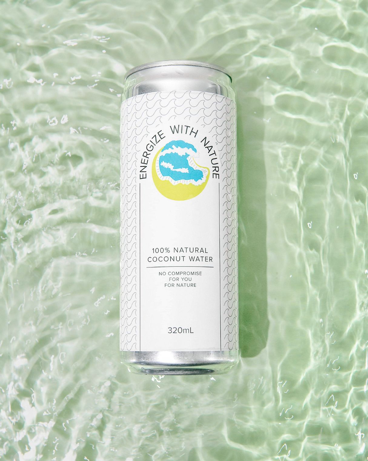 Coconut Water 320ml (12-Pack)